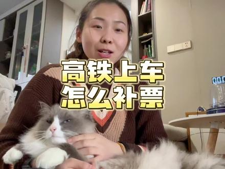 #出门在外 第2集,高铁买不到直达车票,上车补票怎么操作?#记录真实生活 #打工人 #大数据推荐给有需要的人