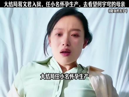 大结局葛文君入狱,任小名怀孕生产,去看望何宇穹的母亲