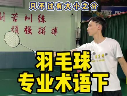 必会的羽毛球名词解释,这些都理解了吗#羽毛球