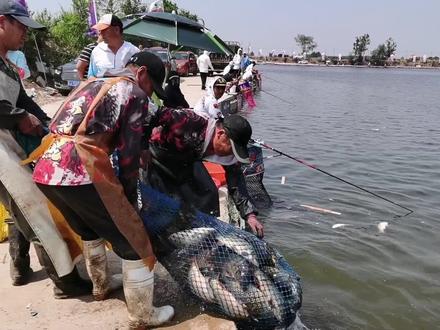 静海花园鱼起浮了,开杆3小时才有口这不得赔死,没想到钓了500斤