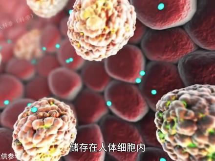 你的那些赘肉是怎么形成,又是怎么消失的 #脂肪 #科普