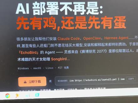 codex链接国内大模型 codex使用的response api 接口,国内好多大模型都没兼容,echobird 可以解决这个问题#codex #deepseek #千问 #minimax #glm