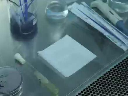 #微生物 #实验室日常 #科研
革兰氏快速染色方法