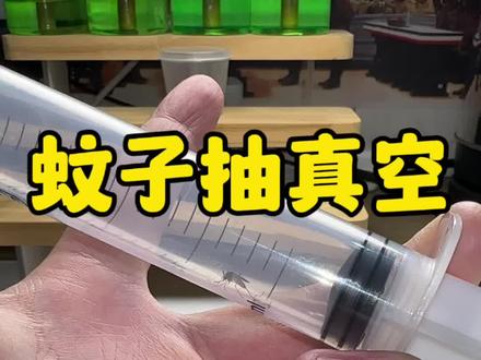 给蚊子来一次抽真空运动 #蚊子 #有趣 #抽真空#给蚊子上一课