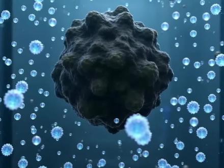 养猪场一体化生化池(A/O+微纳米强化)
工艺:调节池→厌氧→微纳米好氧池→二沉→回用设备:替换传统曝气盘,用微纳米曝气头+射流组合#微纳米气泡发生器
氧利用率:传统15%→微纳米85%+曝气时间:16h→8h,省电50%
出水:COD<200、氨氮<25、总磷<3,稳定达标
亮点:污泥减量30%、不堵头、抗高负荷。
与传统设备相比微纳米优点:1. 除臭极快:2–7天消臭,过环保检查无压力。
2. 抗堵耐用:不怕污泥、油脂、高悬浮物,比微孔曝气寿命长3倍。#微纳米
3. 省电显著:比传统风机曝气省30%–70%电费。
4. 改造简单:老池/黑膜池/氧化塘直接装、不用大拆。