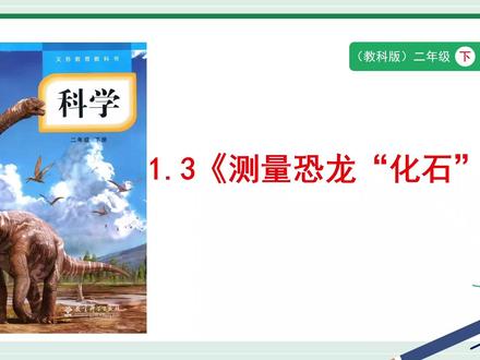 教科版科学二年级下册1.3《测量恐龙“化石”》PPT,获取方法看主页或置顶#教科版科学二年级下册