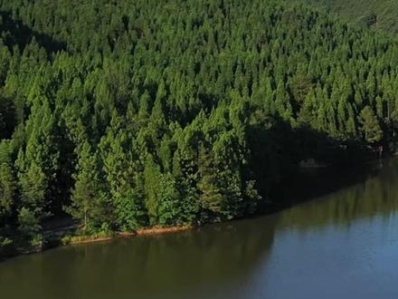 问佛·天曌山#登上山顶看美景 #航拍 #古建筑之美 #佛教圣地 #古寺 天曌山国家森林公园(原名天台山)距广元城区14公里,是经国家林业局批准的国家级森林公园。面积26平方公里,森林覆盖率92%,属典型的城郊型森林公园,夏无酷暑,冬无严寒。