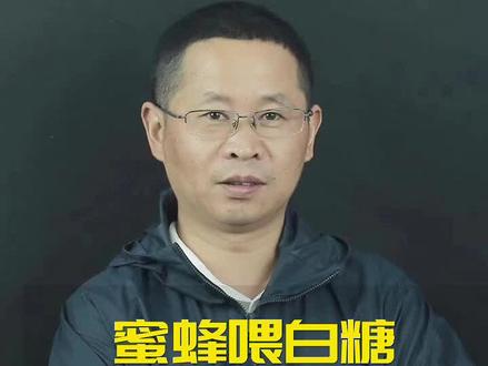 蜜蜂喂白糖是造假蜂蜜吗?#蜂蜜 #辨别真假蜂蜜 #健康科普 #科普知识 #涨知识 @抖音小助手