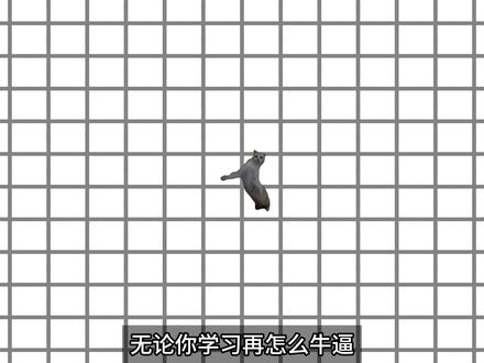 小猫大学习之如何注册Steam #steam游戏 #猫meme #抖音创作者大会 #青年大学习 #抖音创作者激励计划