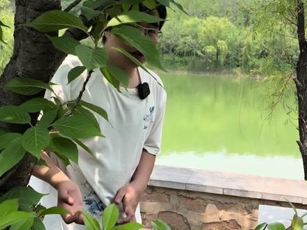 华夏民族的罪人—董仲舒#原创视频 #内容启发搜索