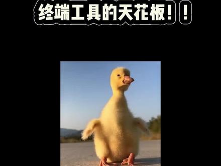 终端工具,有这一个就够了 #程序员 #终端 #计算机