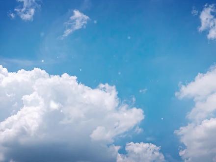 冠县武训中学全市期未单科状元为中考支招。