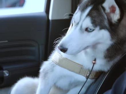 看了第一集,想看第二集,以牙还牙,一直看到大结局