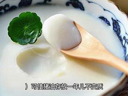 猪油,去除异味。 #美食 #健康 #生活小妙招 #