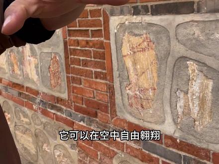 教你一招好玩的手指老鹰#魔术#动手动脑 #手指老鹰