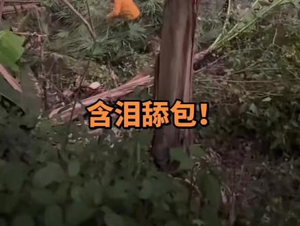 建哥,含泪舔包@荒野建哥