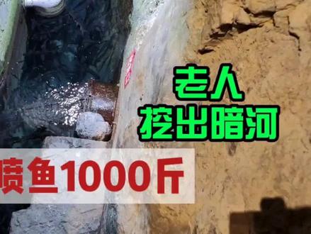 重庆老人自家屋下挖出暗河,小鱼喷涌而出,当年轰动央视现在怎样 #神奇鱼泉 #发财梦 #泉水 #奇闻异事