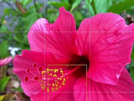 你用#iphone 拍照还在这样调整亮度吗 ?#手机摄影 #iphone摄影