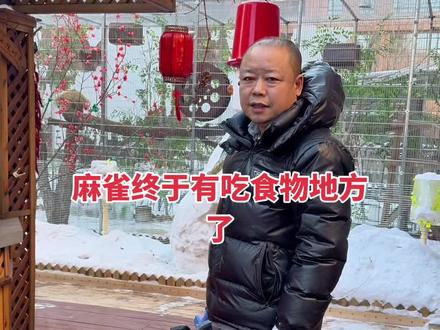 小区麻雀冬天由于下雪找不到食物,今天我要让它们食物自由 #动物救助 #投喂 #投喂小动物的快乐 #小鸟投喂 #制作过程