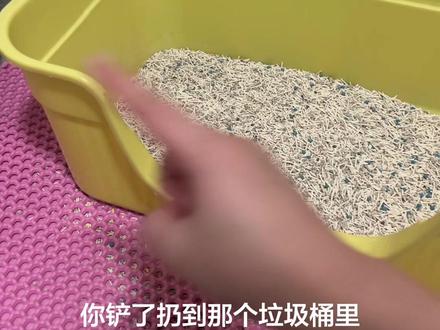 这俩个都是我养猫一年多来用过很方便的东西!#好物分享 #铲屎官的乐趣 #小猫 #猫 #猫咪的迷惑行为 @DOU+上热门 @抖音小助手 @DOU+小助手