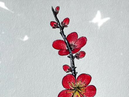 (三)一枝梅教你画不同角度的梅花! #儿童画教程 #梅花 #零基础学画画 #简易花草画法 #彩铅手绘