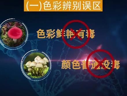 《食菌须谨慎 小心防中毒》预防野生菌中毒警示宣传片#野生菌#食品安全@云南省卫生健康委员会