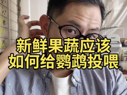 鹦鹉可以吃什么果蔬#鹦鹉 #鹦鹉喂养 #种草激励计划