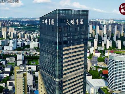 徐翔母亲所持文峰股份1.24亿股股份将被司法拍卖 #徐翔 #文峰股份 #法拍 #京东 #郑素贞