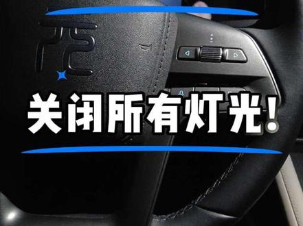 比亚迪元up的车主请放心!帮你们试过了,迪子家的元up行驶过程中大灯可以语音开关,但是日行灯是关不了的#智驾试炼场 #比亚迪 #元up #语音控制关灯 #语音控制
