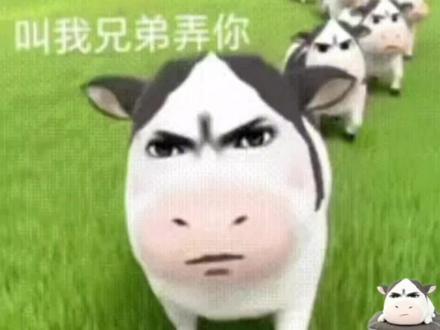 谁还没有这个奶牛动态表情包 奶牛动态表情包制作教程 奶牛动态表情制作入口 牛牛的搞笑视频 牛的搞笑视频 牛牛可爱视频 牛牛的视频 牛牛可爱搞笑视频 牛的视频 奶牛生牛气动态图 奶牛表情包 #即梦ai #奶牛表情动态图 奶牛冲来动态图 奶牛动态图 奶牛生牛 #奶牛奔跑的动态图 奶牛生牛犊 奶牛生奶气 奶牛生公牛 草地牛表情包制作 #草地牛表情包微信怎么搜 草地牛表情包制作教程 草地牛表情包原型 草地牛表情包 草地牛 草地牛图片 草地牛喝奶茶 #牛草表情包gif取图 草地符号表情包 奶牛表情包叫我兄弟弄你 奶牛表情包微信搜什么 奶牛表情包是谁的脸 奶牛表情包出处 草地牛表情包出自哪里 奶牛表情包抽象 奶牛表情包跳舞 奶牛表情包p图人脸 草地牛头像 草地牛图片素材 草地牛出自哪里 牛表情包微信名称 草地牛在微信怎么搜 草地牛高清壁纸 草原牛壁纸超清4k 草地壁纸超清4k 草坪壁纸ins高级质感 草地牛壁纸 草坪上的牛壁纸 windows蓝天草地壁纸 山坡草地风景高清壁纸 草地壁纸高清图片灰蒙蒙 天空草地壁纸 奶牛猫表情包微信搜什么 牛表情包 奶牛 微信表情包