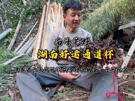 《湖南好运通道杯》 南斗荒野56号姚姚、决赛第6天各类物资充足、还有过剩吃不完淹掉的、庇护所未完工、状态依旧很好、#好运通道杯 #南斗荒野#荒野求生#荒野生存#野外生存