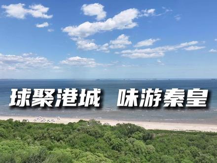 球聚港城 味游秦皇!愿选手们在秦皇岛留下专属精彩回忆!#台球 #独牙 #独牙传奇 #独牙九球比赛