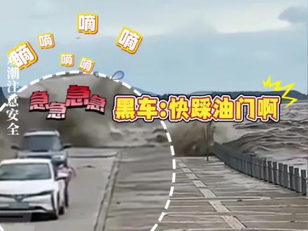 #钱塘江大潮 汹涌冲向岸边,两辆救援车被潮水追着跑#观潮注意安全 #危险动作请勿模仿 #钱塘江上直击大潮