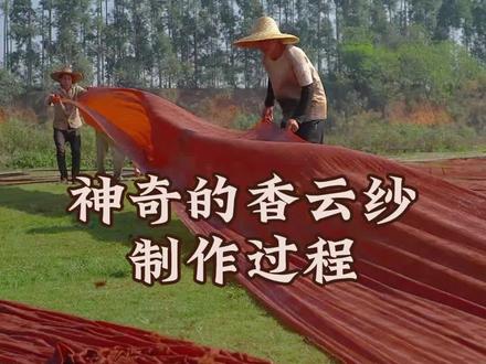 香云纱神奇的制作过程 #香云纱 #非遗工艺 #过程