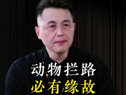 动物拦路、必有缘故