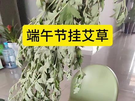 端午节除了挂艾叶,还要做什么?#端午节 #挂艾草有哪些讲究 #极阳水