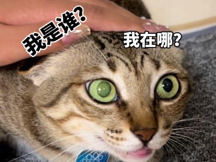 当大咪遇上南宫问雅。。。。。