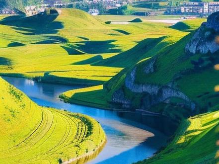 这个凤梨真的太太太好吃了!只要它不停产,我能一直吃!收到后开箱就能闻到浓郁的芒果和凤梨的混合果香!切开直接就可以吃,不需要泡盐水,不需要挖眼,一口下去满嘴爆汁,果肉特别细腻,口感清甜爽口!真的好好吃,喜欢吃凤梨的姐妹一定要品尝一下!#凤梨 #海南金钻凤梨 #新鲜应季水果 #香甜多汁 #把家乡的味道分享给大家