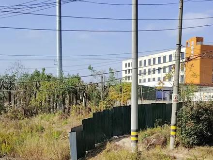 网传松江一工地挖出大量银元,上演现代淘金。#淘金 #车墩银元 #上海寻宝记 #挖银元现场 #银元