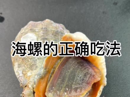 #好东西一起分享给大家 #海鲜美食 海螺的正确吃法#爱生活爱美食