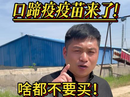 南非一号口蹄疫疫苗来了!#口蹄疫 #养猪 #畜牧养殖