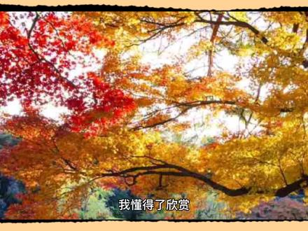 优秀作文《我懂得了欣赏》
父母伴读孩子的好帮手