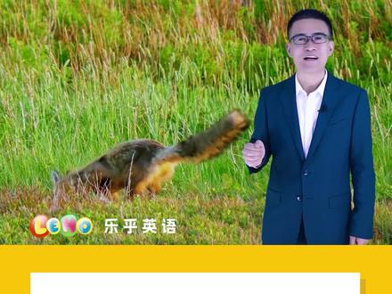 在情景中学单词 在动画中学字母#英文字母 #英语启蒙