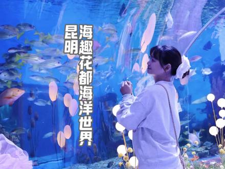 昆明海趣花都海洋世界怎玩?这份亲测的游玩攻略请查收#昆明旅游 #海趣花都海洋世界 #畅游海趣马上有钱 #来南方过冬 #冬日暖暖游云南