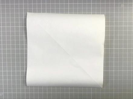 折个小鸭子,掌握折纸基础技巧!
#折纸教程 #折纸 #鸭子