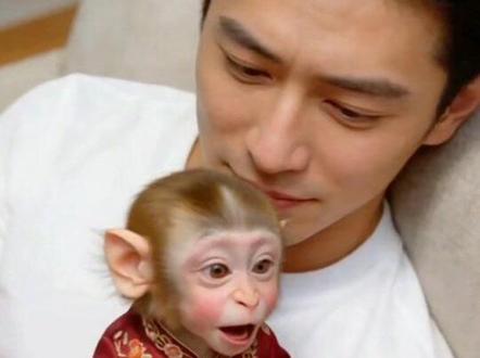 毛孩子的臭脚丫#谁能拒绝俺凑凑的小jio #萌宠出道计划 #亲子 #亲子互动 #亲子时光 @DOU+小助手 @DOU+上热门