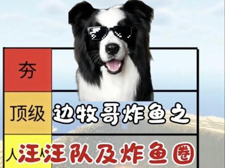 #边牧#从夯到拉 #锐评 从夯到拉锐评一下汪汪队以及各路成员炸鱼水平!