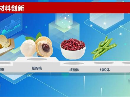 高中生物 尝试制作真核细胞的三维结构模型