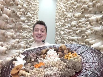 今天我要吃蘑菇火锅!看看吃哪种蘑菇能看到发光小人#广东蘑菇出口世界 @清华蘑菇