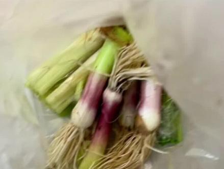 广州入夏封神!90溪流缸鱼菜共生,原生鱼+鲜菜双丰收🔥 广州的夏天来得又急又猛,高温高湿直接拉满,养鱼人真的太难了!90溪流缸一到夏天就面临水温飙升、爆藻闷缸、水质波动的难题,野采的条纹小鲃、溪石斑动不动就应激趴缸;想在阳台种点蔬菜,又怕烈日暴晒、浇水不及时,忙活半天全白费。直到我把90溪流缸升级成鱼菜共生生态系统,才彻底解决夏日养鱼种菜的双重烦恼,解锁懒人躺平的快乐!
我的90溪流缸主打原生野采生态,缸里养着条纹小鲃、溪石斑,都是适应溪流活水的原生鱼,对水质要求极高。入夏后广州多雨闷热,传统养护方式需要频繁换水、清理鱼便,不仅费时费力,还容易让鱼产生应激反应。而鱼菜共生系统完美适配广州湿热气候,强水流搭配陶粒培菌,形成稳定的生态循环,植物根系疯狂吸收鱼便产生的硝酸盐,相当于给鱼缸装上了天然净水器,水质长期清澈稳定,原生鱼再也不用适应水质波动,每天活力满满,游动抢食的状态超绝。
在种菜方面,更是实现了零成本、零负担。顶盒水培区种满水芹、番薯叶、韭菜,这些蔬菜耐强流、可无限收割,完全不用施肥、不用浇水,依靠鱼缸水循环就能茁壮成长。广州夏日光照充足,昼长夜短的气候刚好契合植物生长规律,自然光搭配补光灯加持,蔬菜长势迅猛,叶片鲜嫩翠绿,比菜场买的更健康。而且根系不浑水、不烂根,陶粒固定简单方便,不用水草泥、不用CO₂,新手也能轻松上手。
最让人惊喜的是,这套系统实现了鱼与菜的双向滋养。原生鱼的排泄物为蔬菜提供天然养分,蔬菜的根系净化鱼缸水质,形成闭环生态,不用频繁换水、不用手动清理残渣,90缸的大空间让整个生态系统更稳定,打理起来格外省心。夏天不用顶着高温折腾鱼缸,也不用费心照料蔬菜,一边赏原生鱼群游,一边摘新鲜蔬菜,自给自足的治愈感拉满。
对于广州的鱼友来说,这样的鱼菜共生系统简直是夏日福音!90溪流缸的空间优势,搭配原生鱼的灵动与水培蔬菜的生机,既解决了高温养鱼的痛点,又实现了蔬菜自由。不用复杂设备,不用繁琐操作,轻松打造家居生态小天地,颜值与实用并存。这个夏天,别再为养鱼种菜发愁,抄作业这套90缸鱼菜共生方案,解锁清凉又治愈的夏日养鱼新体验!
#广州2026年何时入夏 #鱼菜共生 #懒人养鱼 #溪流缸 #上户一内木